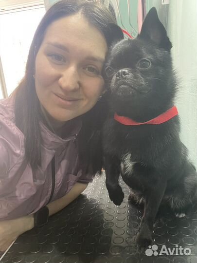 Груминг. Грумер