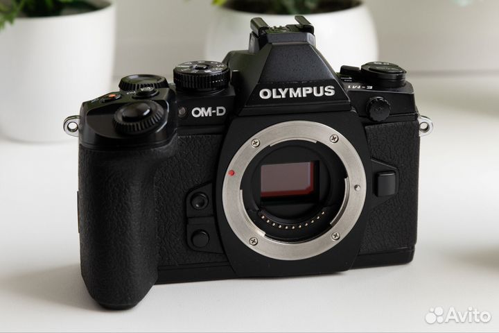Olympus OM-D E-M1 Body