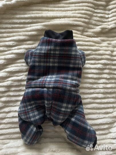 Одежда для собаки