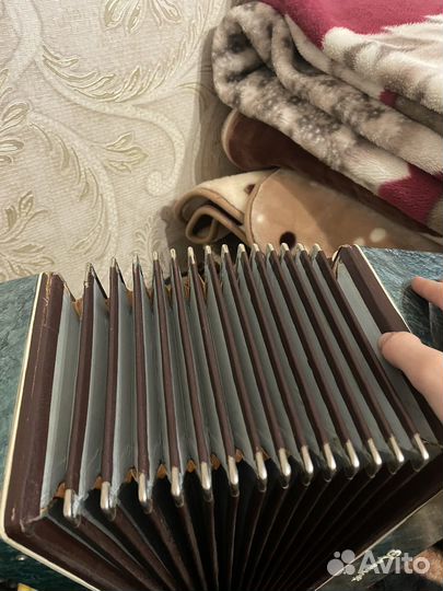 Баян Полтава