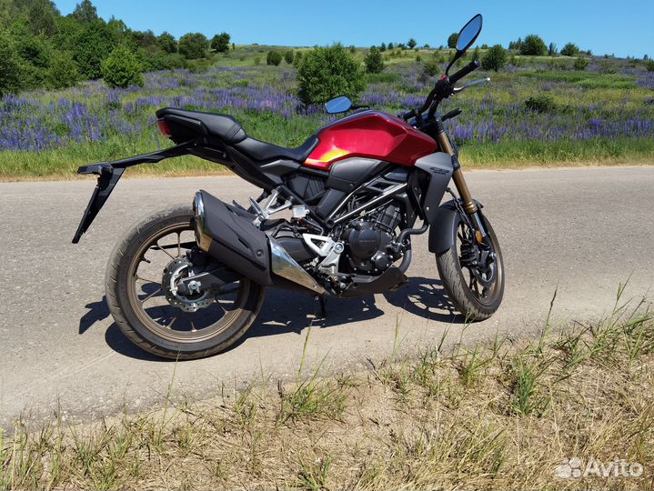Honda CB300R