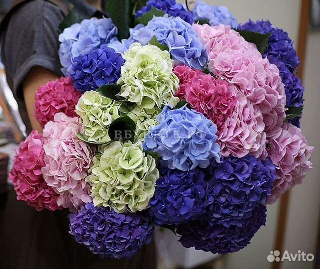 Цветы с доставкой