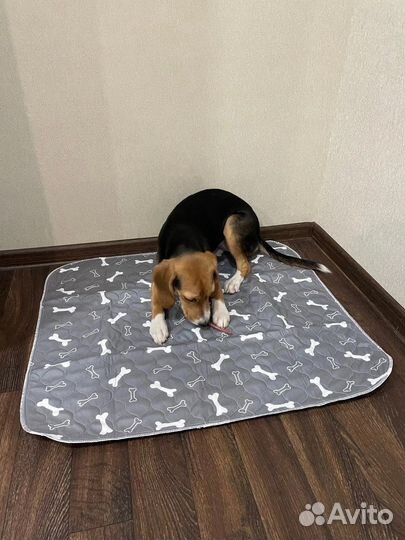 Многоразовые пеленки для животных 70х80