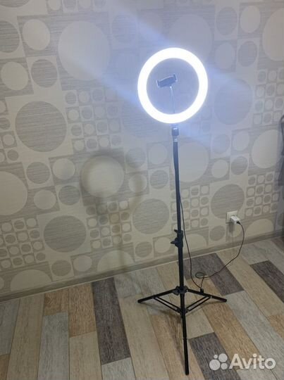 Лампа кольцевая со штативом