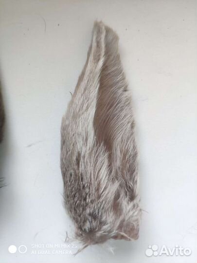 Лакомство для кошек и собак