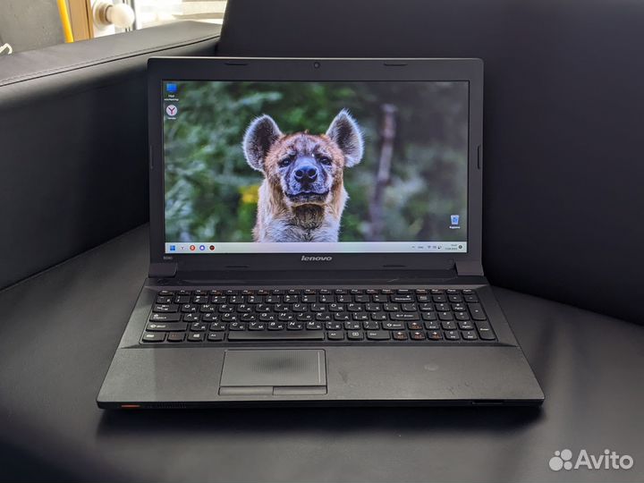 Шустрый Lenovo (120SSD, i5, 4GB)