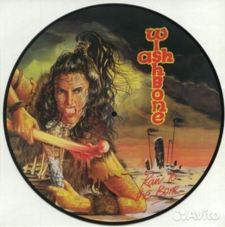 Wishbone ASH - Raw To The Bone (LP)