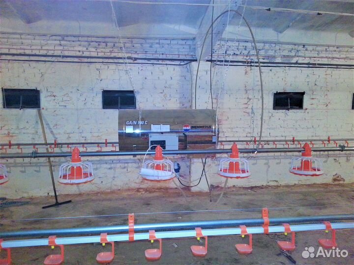 Линии поения и водоснабжения для птицы (бройлера)