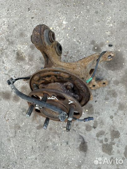 Кулак задний левый Kia Ceed ED