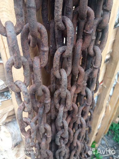 Цепь с хомутом для крс