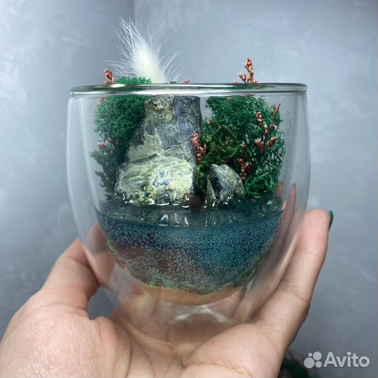 Подарки Моссариумы