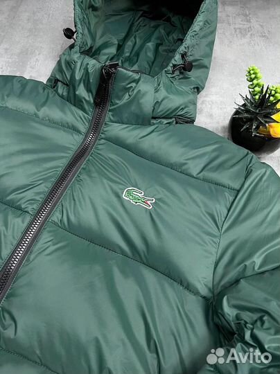 Зимние куртки Lacoste Premium