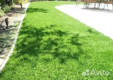 Укладка Рулонного газона