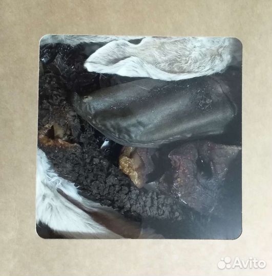 Корма для собак и кошек