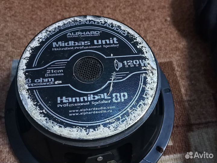 Динамики 21 см