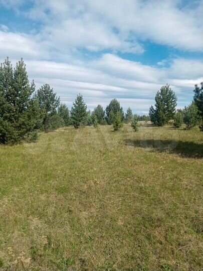 Участок 1,3 га (СНТ, ДНП)