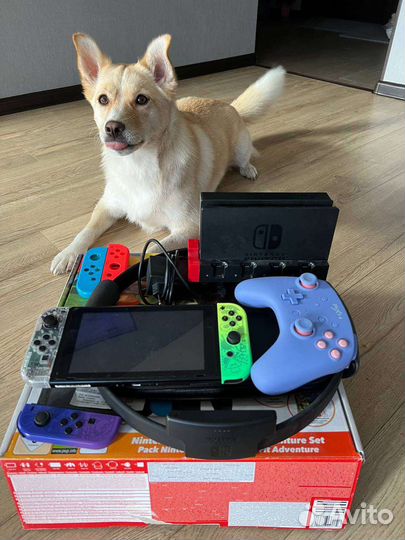 Nintendo switch ring fit adventure