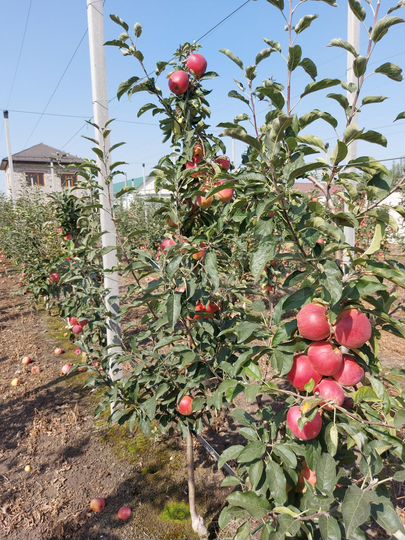 Дом 128 м² на участке 20 сот.