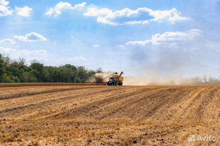 Бункер Bonum Hopper-30, 2023