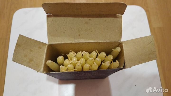 Свечи новогодние коллекционные СССР 1980 год