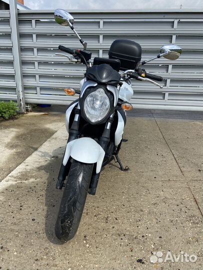 Suzuki SFV 400 gladius