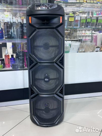 Музыкальная колонка с караоке