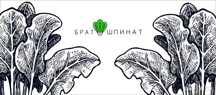 Повар пекарь кондитер