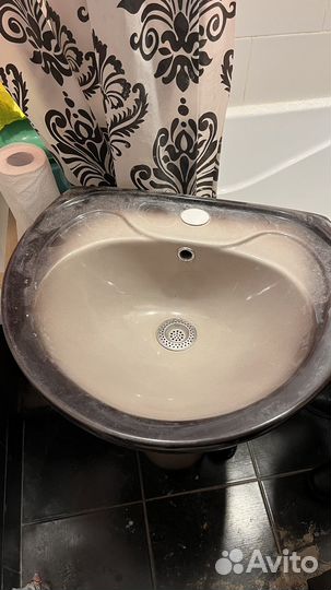 Раковина тюльпан