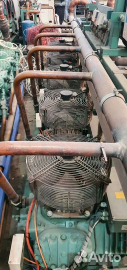 Шоковая заморозка Bitzer 6G-30.2Y-40P