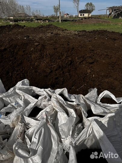 Перегной коровий