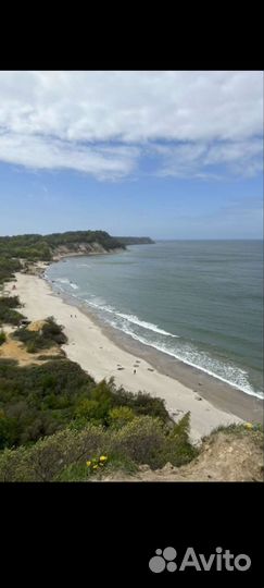 Тур в Калининград до 4-х гостей 28-30 августа