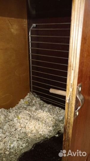 Гнездо для попугаев