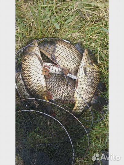 Садок для рыбалки в чехле 5 кольца