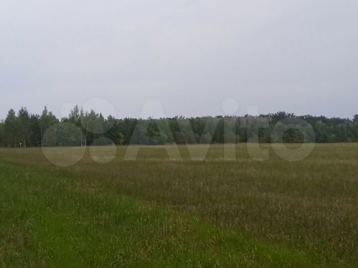 Участок 2,4 га (СНТ, ДНП)