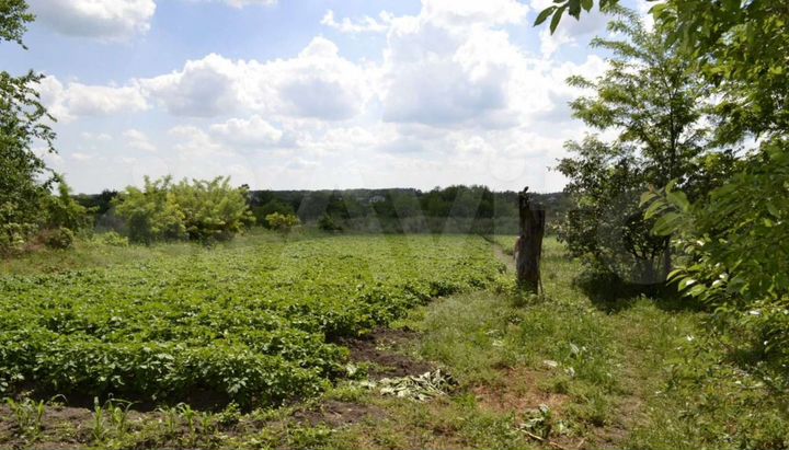 Участок 45 сот. (СНТ, ДНП)