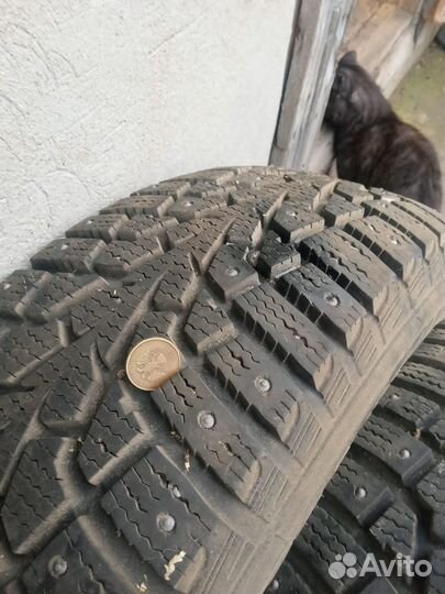 Maxxis AP2 All Season 215/65 R16