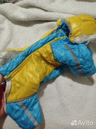 Костюм для собаки