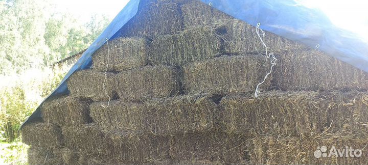 Сено в брикетах тюках 2023