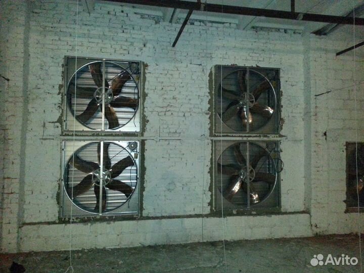 Оборудование для выращивания и содержания птицы