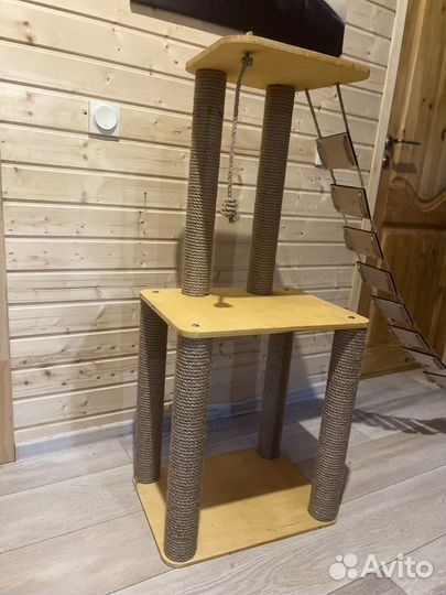 Когтеточка