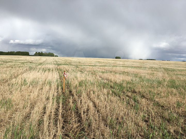 Участок 46 га (СНТ, ДНП)