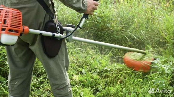 Бензокоса триммер