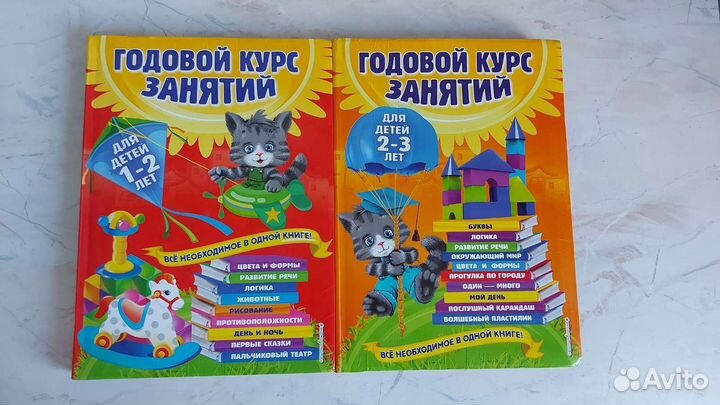 Годовой курс занятий