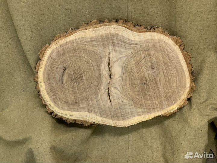 Спил карагача