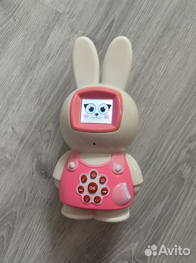 Зайка всезнайка