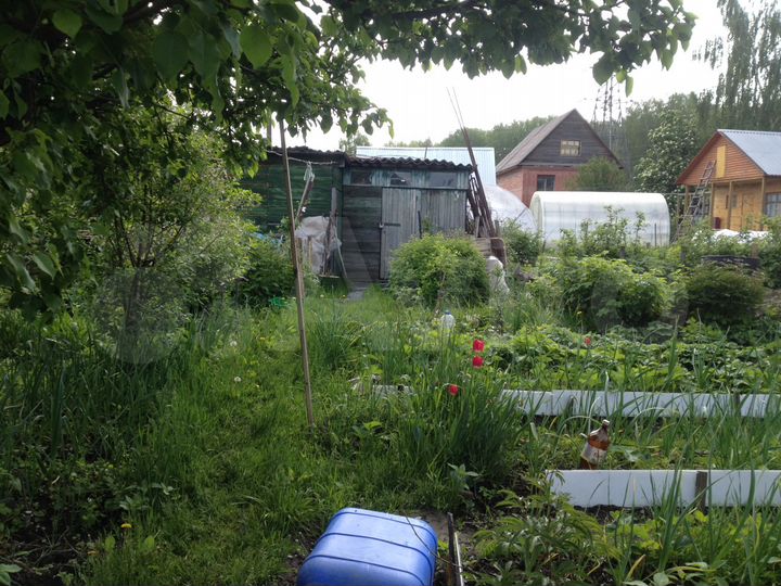 Дача нсо. Снт заречный новосибирск. Дача участок новосибирск. Нгс дача. Дачные общества на золотой горке.