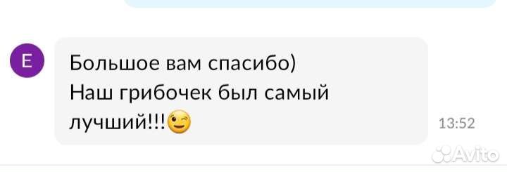 Костюм гриба