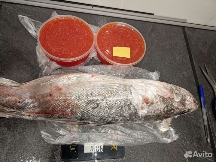 Рыба копченая и свежезамороженная