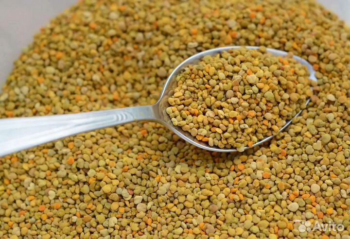 Пыльца пчелиная