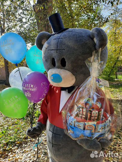 Мишка Тедди поздравление аниматор / курьер